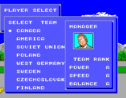 Slap Shot screenshot 3 for Sega Master System